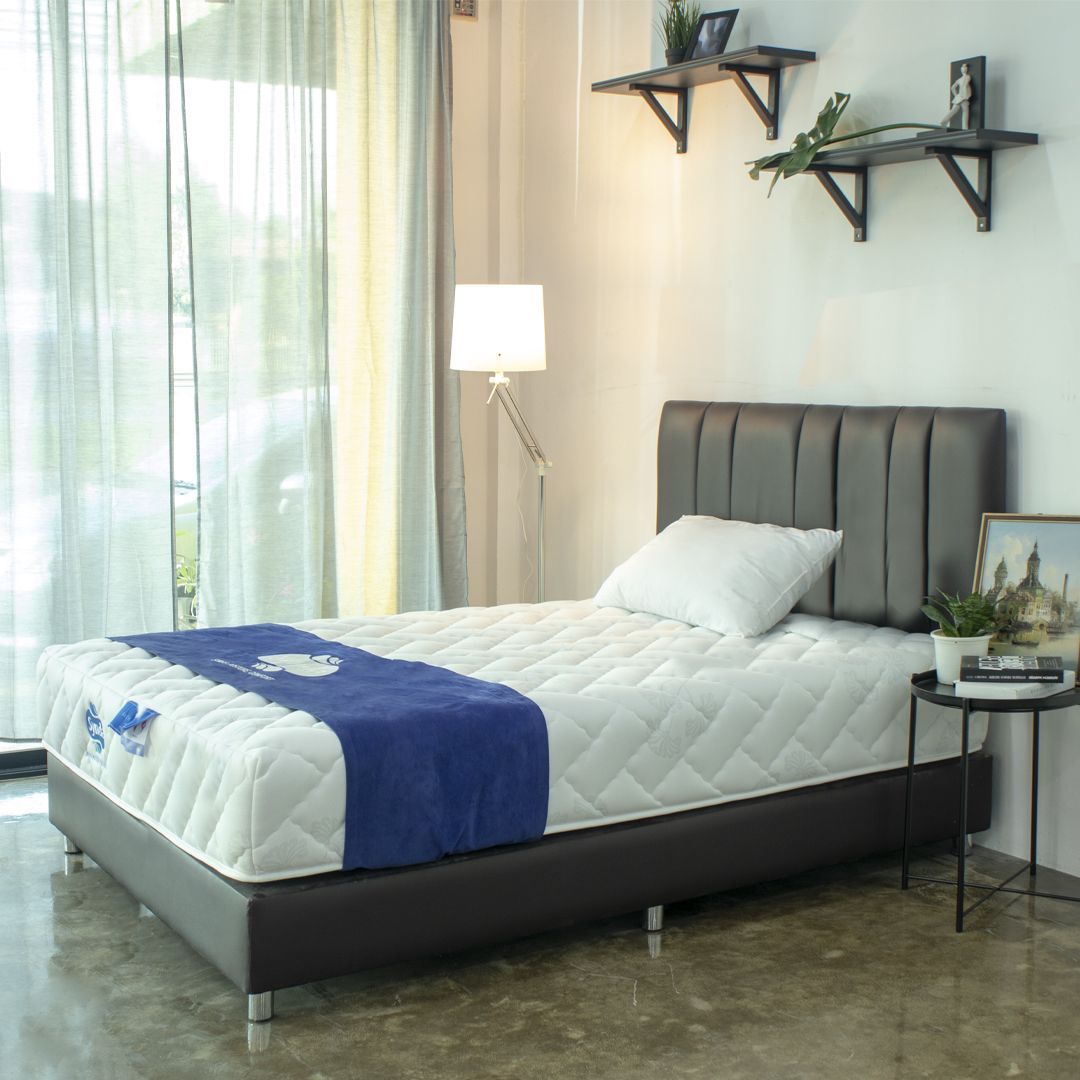 Synda Mattress - Back Repose 5 ft.