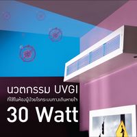 Upper room air sterilizer (30 watt)