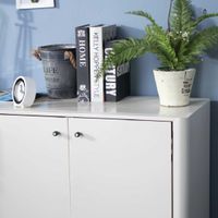 File cabinet with 2 doors-1